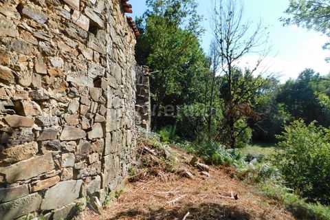 Helårsgrund i Seia, Guarda, Seia - € 45.000 | Ref: 382220010 - foto 7