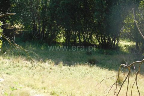 Helårsgrund i Seia, Guarda, Seia - € 45.000 | Ref: 382220010 - foto 9