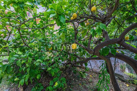 Villa i Sanremo, Imperia, Sanremo - € 390.000 | Ref: 5685 - foto 13