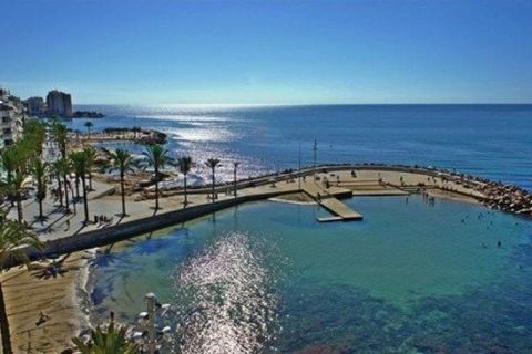 Villa - Torrevieja, Alicante, Torrevieja - € 750 000 | Réf : MN-N6894 - photo 14