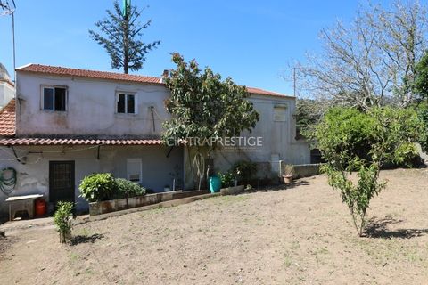 Villa i Sintra, Lisbon, Sintra - € 500.000 | Ref: CP-942M - foto 3
