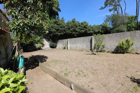 Villa i Sintra, Lisbon, Sintra - € 500.000 | Ref: CP-942M - foto 6
