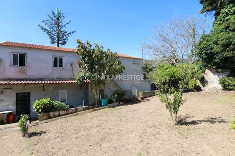 Villa i Sintra, Lisbon, Sintra - € 500.000 | Ref: CP-942M - foto 18