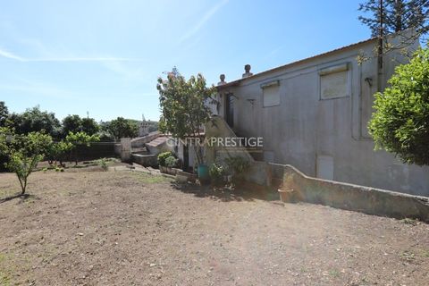 Villa i Sintra, Lisbon, Sintra - € 500.000 | Ref: CP-942M - foto 19