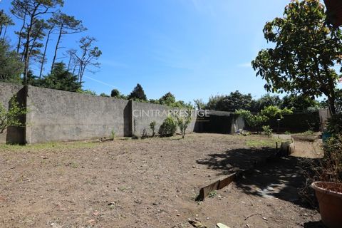 Villa i Sintra, Lisbon, Sintra - € 500.000 | Ref: CP-942M - foto 20
