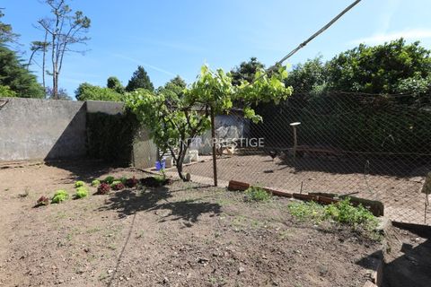 Villa i Sintra, Lisbon, Sintra - € 500.000 | Ref: CP-942M - foto 21