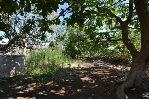 Masia a Deltebre, Tarragona, Deltebre - € 95.500 | Ref: FZD451/6931 - foto 24