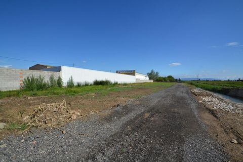 Masia a Deltebre, Tarragona, Deltebre - € 95.500 | Ref: FZD451/6931 - foto 25
