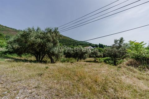 Helårsgrund i Fundao, Castelo Branco, Fundao - € 70.000 | Ref: 255240123 - foto 3