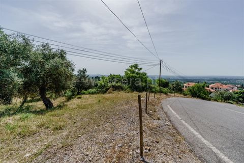 Helårsgrund i Fundao, Castelo Branco, Fundao - € 70.000 | Ref: 255240123 - foto 4