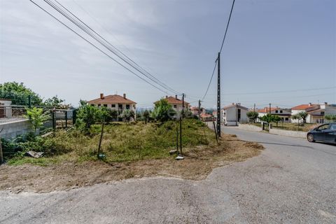 Terra a Fundao, Castelo Branco, Fundao - € 30.000 | Ref: 255240122 - foto 3