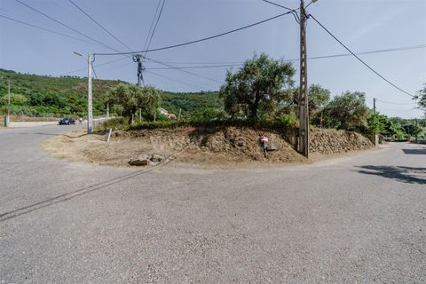 Terra a Fundao, Castelo Branco, Fundao - € 30.000 | Ref: 255240122 - foto 4