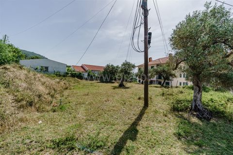 Terra a Fundao, Castelo Branco, Fundao - € 30.000 | Ref: 255240122 - foto 5