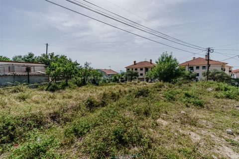 Terra a Fundao, Castelo Branco, Fundao - € 30.000 | Ref: 255240122 - foto 6