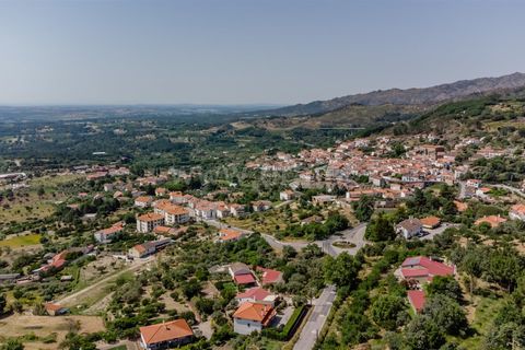 Terra a Fundao, Castelo Branco, Fundao - € 30.000 | Ref: 255240122 - foto 9