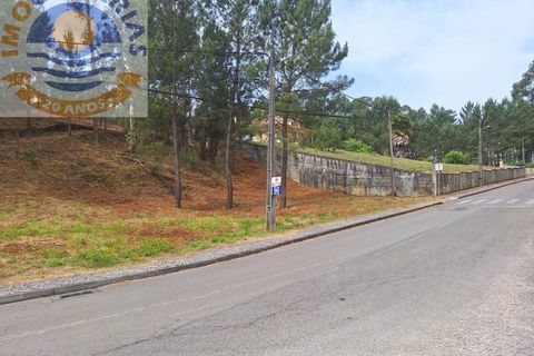 Helårsgrund i Ourem, Santarem, Ourem - € 35.000 | Ref: TER_716 - foto 4