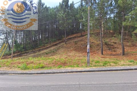Helårsgrund i Ourem, Santarem, Ourem - € 35.000 | Ref: TER_716 - foto 7