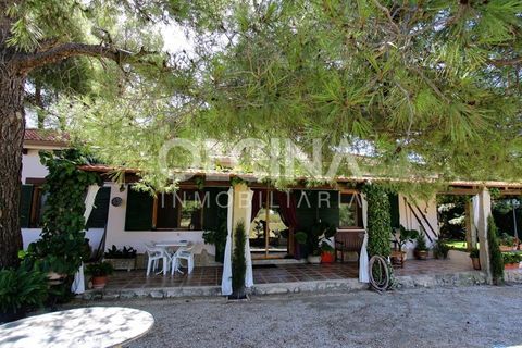 Landejendom i Ibi, Alicante, Ibi - € 289.000 | Ref: 338/6818 - foto 1