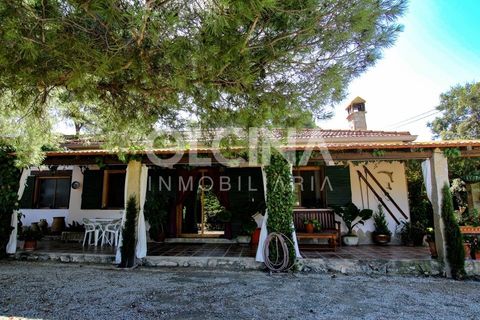 Landejendom i Ibi, Alicante, Ibi - € 289.000 | Ref: 338/6818 - foto 2