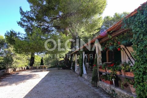 Landejendom i Ibi, Alicante, Ibi - € 289.000 | Ref: 338/6818 - foto 3