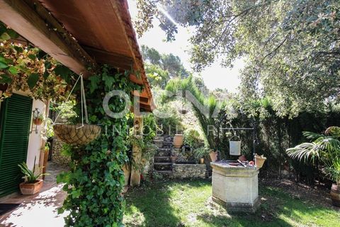 Landejendom i Ibi, Alicante, Ibi - € 289.000 | Ref: 338/6818 - foto 4