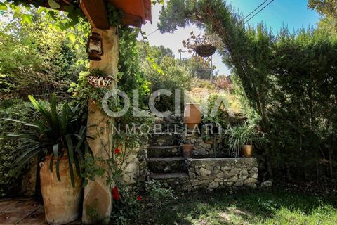 Landejendom i Ibi, Alicante, Ibi - € 289.000 | Ref: 338/6818 - foto 5