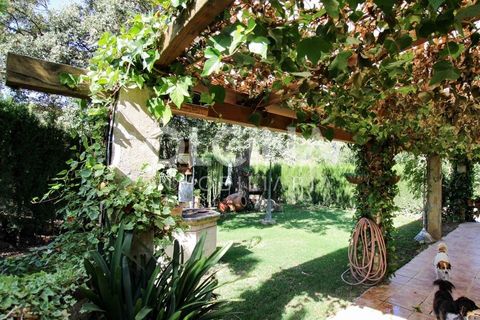 Landejendom i Ibi, Alicante, Ibi - € 289.000 | Ref: 338/6818 - foto 6