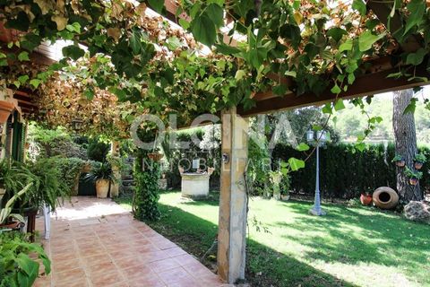 Landejendom i Ibi, Alicante, Ibi - € 289.000 | Ref: 338/6818 - foto 7