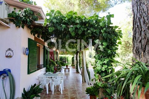 Landejendom i Ibi, Alicante, Ibi - € 289.000 | Ref: 338/6818 - foto 8