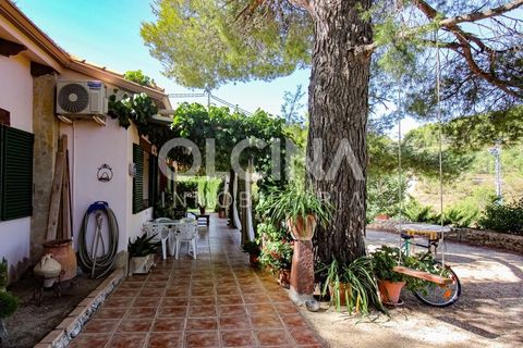 Landejendom i Ibi, Alicante, Ibi - € 289.000 | Ref: 338/6818 - foto 12