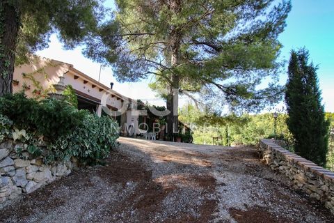 Landejendom i Ibi, Alicante, Ibi - € 289.000 | Ref: 338/6818 - foto 13