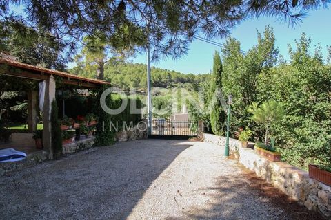 Landejendom i Ibi, Alicante, Ibi - € 289.000 | Ref: 338/6818 - foto 28