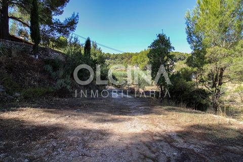Landejendom i Ibi, Alicante, Ibi - € 289.000 | Ref: 338/6818 - foto 29