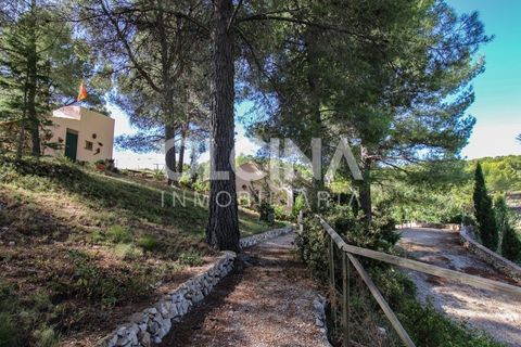 Landejendom i Ibi, Alicante, Ibi - € 289.000 | Ref: 338/6818 - foto 30