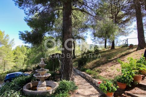 Landejendom i Ibi, Alicante, Ibi - € 289.000 | Ref: 338/6818 - foto 32