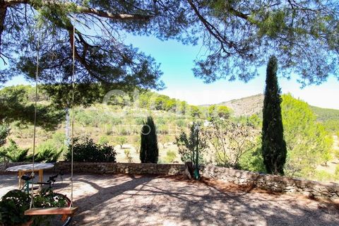 Landejendom i Ibi, Alicante, Ibi - € 289.000 | Ref: 338/6818 - foto 33