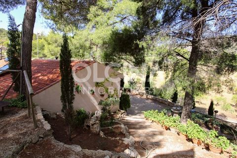 Landejendom i Ibi, Alicante, Ibi - € 289.000 | Ref: 338/6818 - foto 34