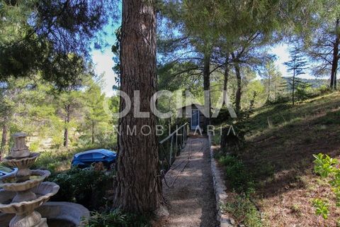 Landejendom i Ibi, Alicante, Ibi - € 289.000 | Ref: 338/6818 - foto 35
