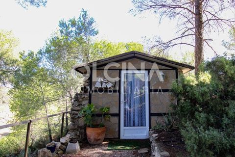 Landejendom i Ibi, Alicante, Ibi - € 289.000 | Ref: 338/6818 - foto 36