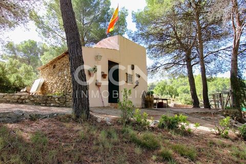 Landejendom i Ibi, Alicante, Ibi - € 289.000 | Ref: 338/6818 - foto 40