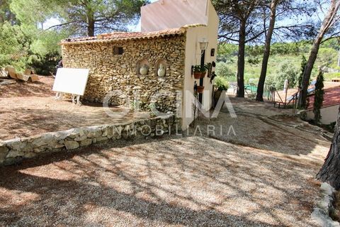 Landejendom i Ibi, Alicante, Ibi - € 289.000 | Ref: 338/6818 - foto 41