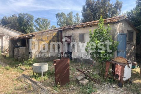 Landejendom i Capalbio, Grosseto, Capalbio - € 180.000 | Ref: v-0081 - foto 1