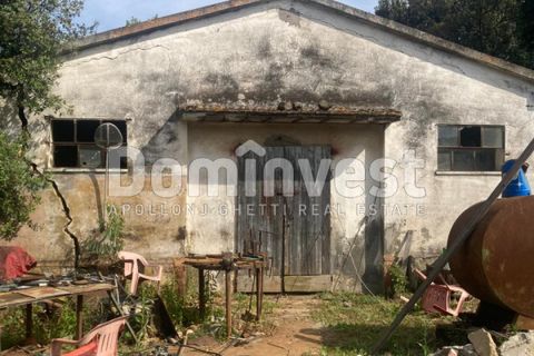 Landejendom i Capalbio, Grosseto, Capalbio - € 180.000 | Ref: v-0081 - foto 2