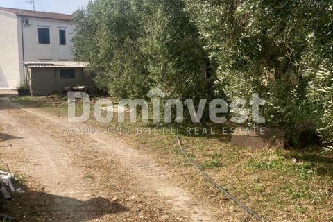 Landejendom i Capalbio, Grosseto, Capalbio - € 180.000 | Ref: v-0081 - foto 3