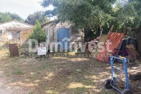 Landejendom i Capalbio, Grosseto, Capalbio - € 180.000 | Ref: v-0081 - foto 4