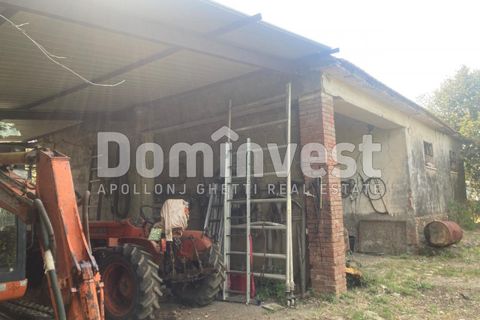 Landejendom i Capalbio, Grosseto, Capalbio - € 180.000 | Ref: v-0081 - foto 5
