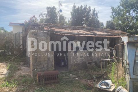 Landejendom i Capalbio, Grosseto, Capalbio - € 180.000 | Ref: v-0081 - foto 6