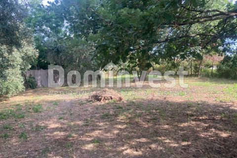 Landejendom i Capalbio, Grosseto, Capalbio - € 180.000 | Ref: v-0081 - foto 8