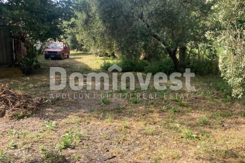 Landejendom i Capalbio, Grosseto, Capalbio - € 180.000 | Ref: v-0081 - foto 10
