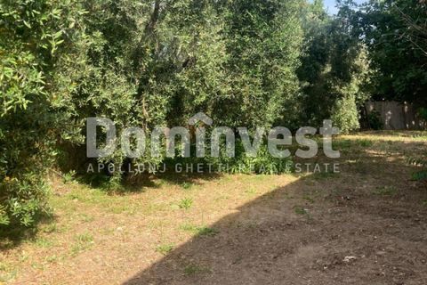 Landejendom i Capalbio, Grosseto, Capalbio - € 180.000 | Ref: v-0081 - foto 11